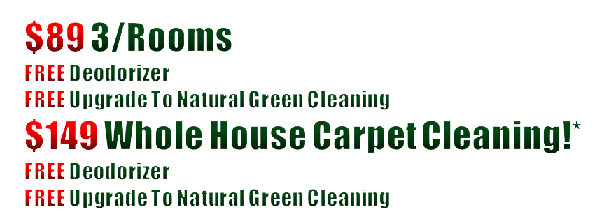 natural carpet cleaning