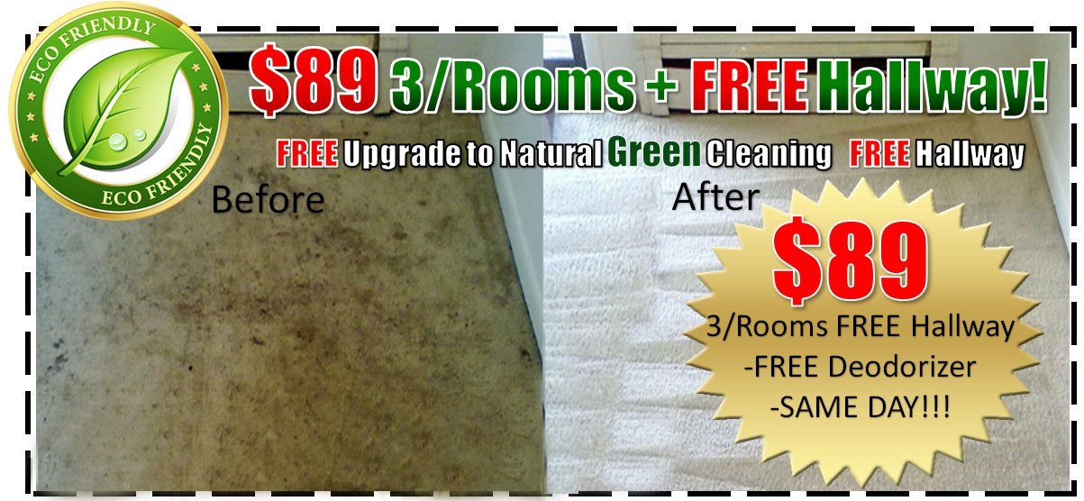 carpet cleaning, steam carpet cleaning, professional carpet cleaners