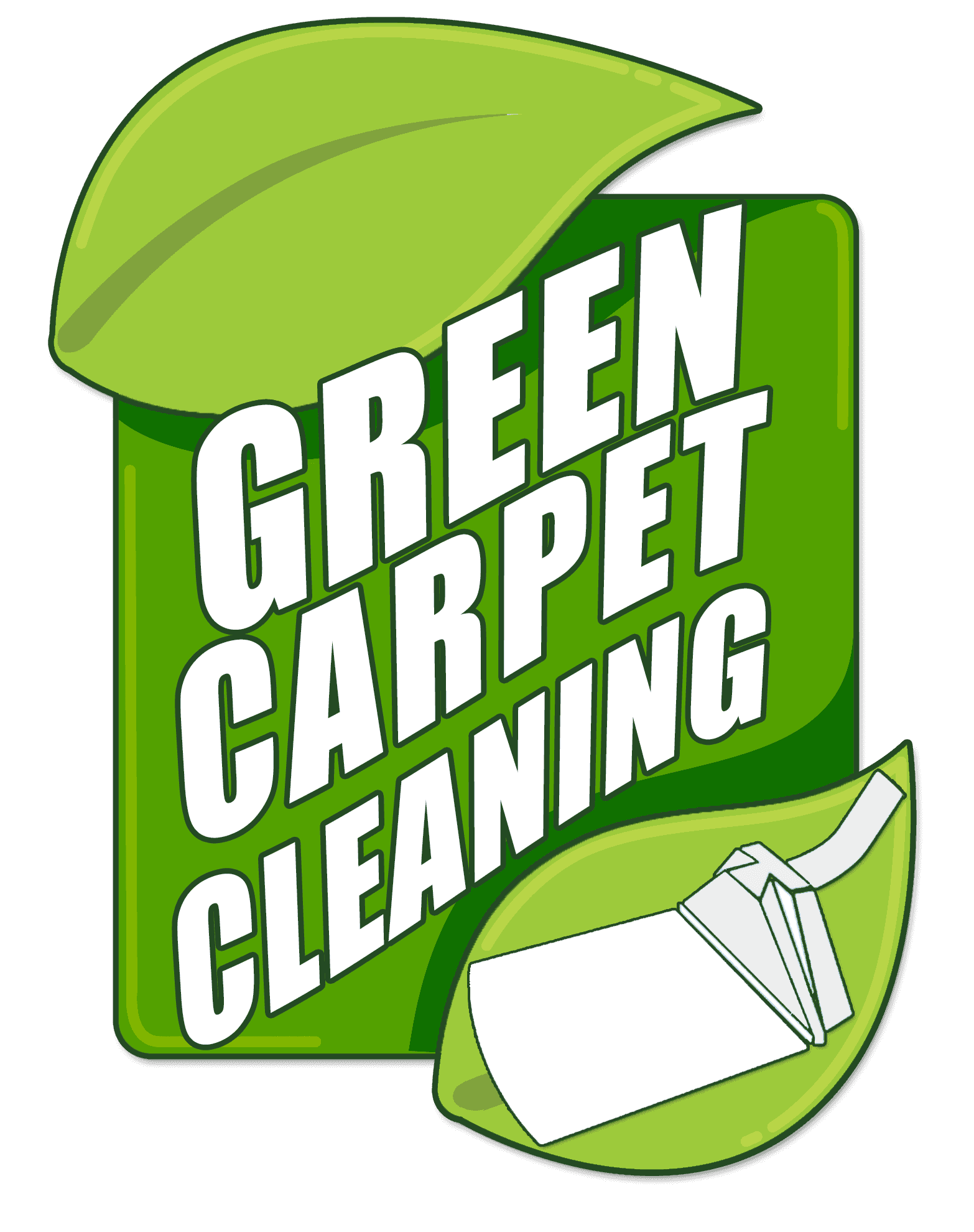 professional carpet cleaning, steam carpet cleaning