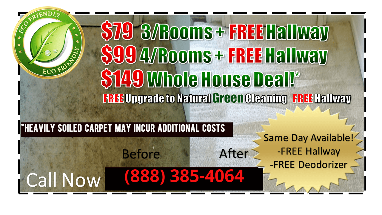 Carpet Cleaning Carpet Steam Cleaning Services