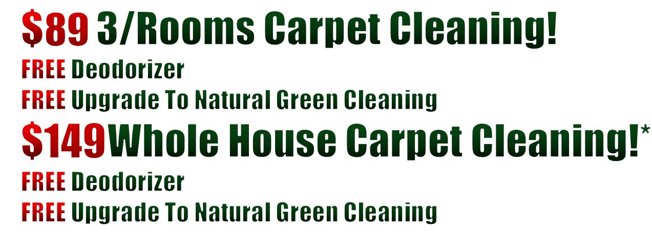 carpet cleaning, steam carpet cleaning, professional carpet cleaners