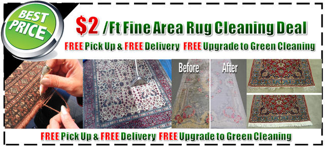 steam cleaners, fine rug cleaning