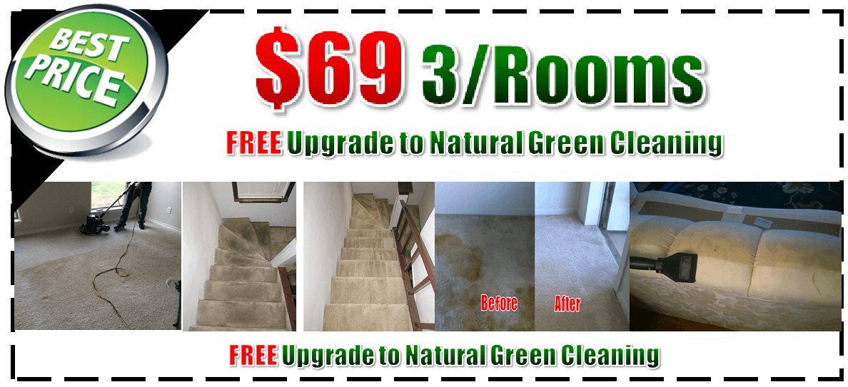 organic carpet cleaning, carpet steam cleaning