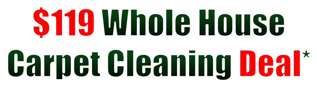 steam cleaning