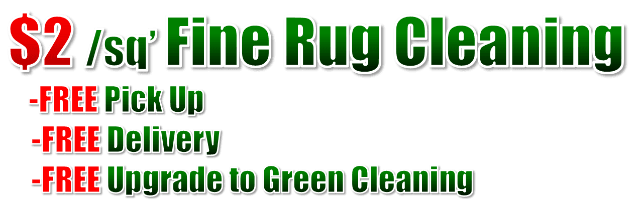 area rug steam cleaning