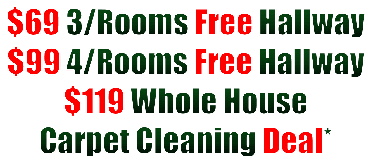 carpet steam cleaners, steam carpet cleaning, professional carpet cleaners