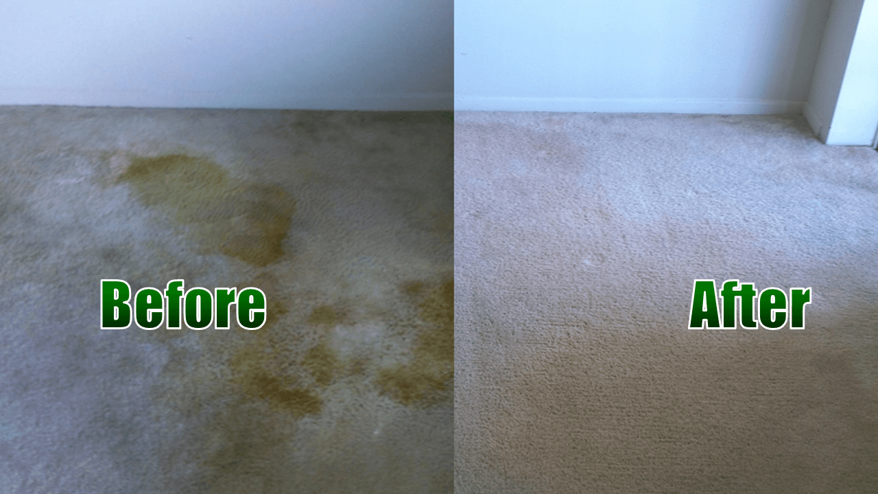 organic carpet cleaning