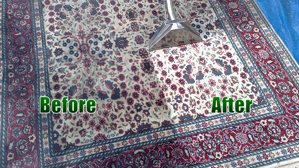 upholstery and carpet cleaning