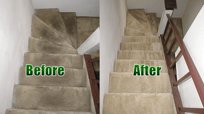 organic carpet cleaning, carpet cleaning