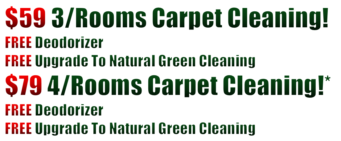 carpet steam cleaners