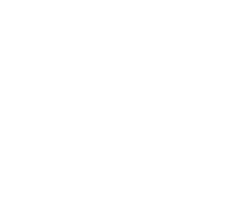 The Invictus Group