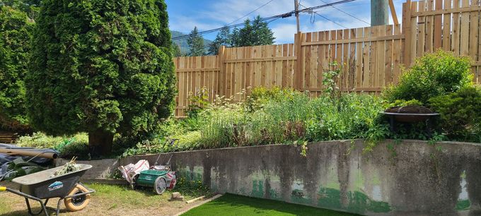 A backyard with a garden behind a concrete wall, wooden fence, and green foliage on a sunny day.