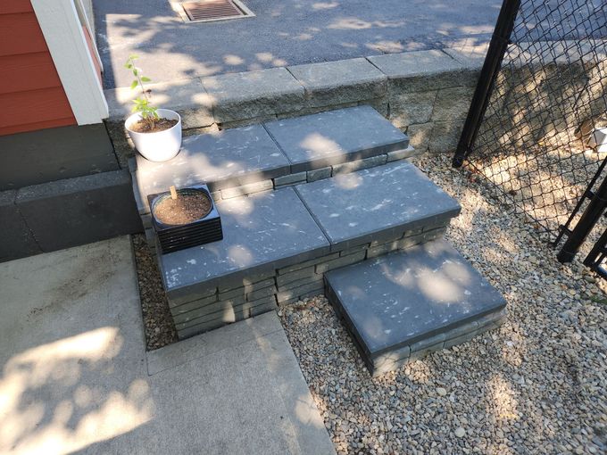 Concrete steps leading up to a doorway with a small plant and potted flowers on the side.