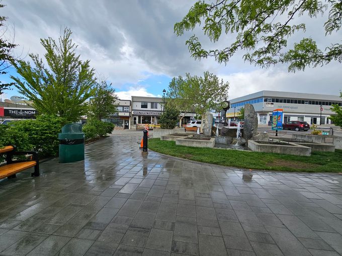 Rainy plaza with trees, benches, and shops under a cloudy sky.