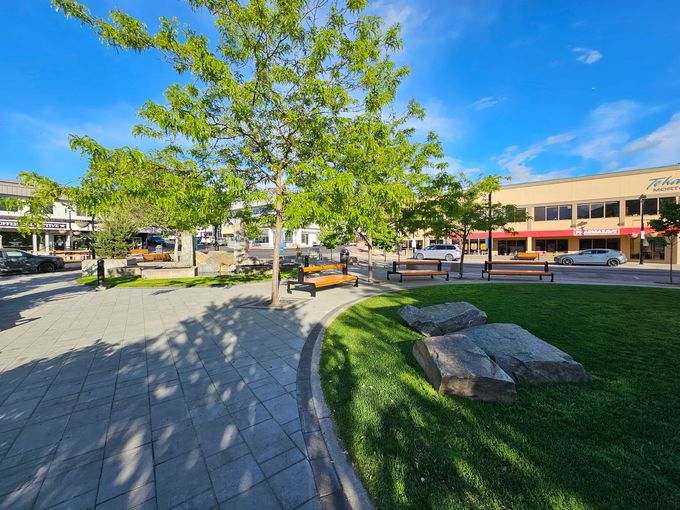 A public square with trees, benches, and a brick walkway on a sunny day. Buildings line the street in the background.