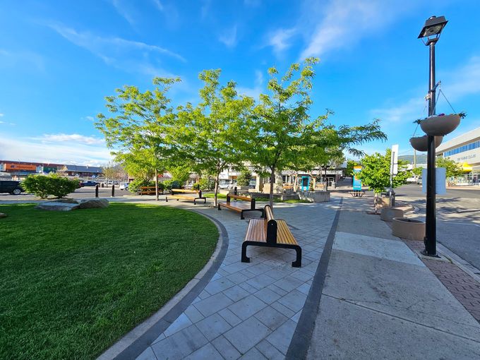Park scene with benches, trees, and blue sky on a sunny day.