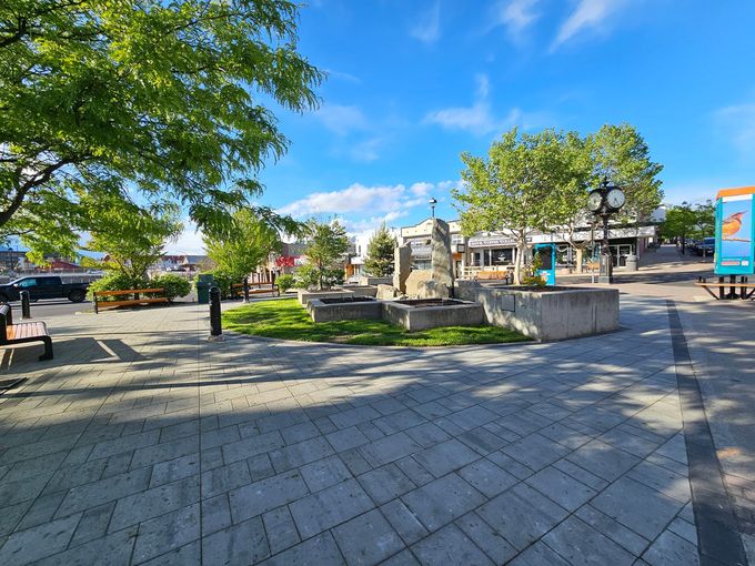 Paved outdoor plaza with trees, benches, and concrete planters under a bright blue sky.
