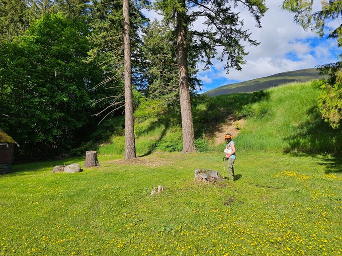 Person standing in a grassy field with trees and a hillside in the background. Bright sunny day.