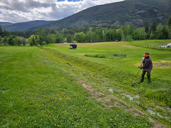 A person using a weed whacker in a green field with a mountain backdrop.
