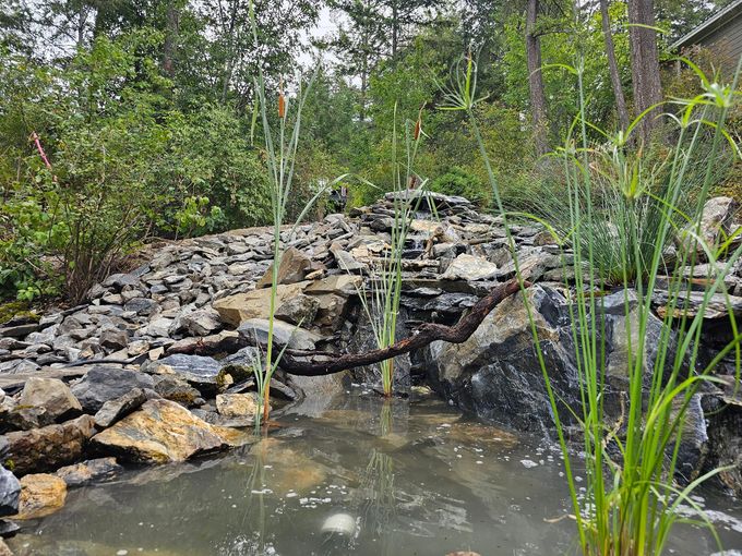 Small waterfall cascading into a pond, surrounded by rocks and greenery.