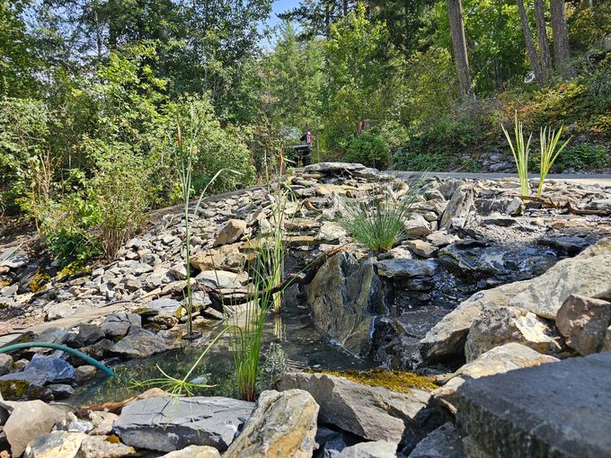 A rocky waterfall cascades down, surrounded by green plants and trees in a garden setting.