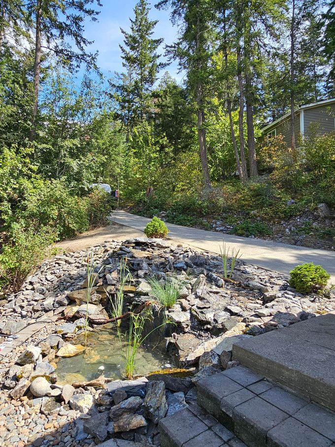 A small pond with a stone waterfall, and a path leading into a forest.