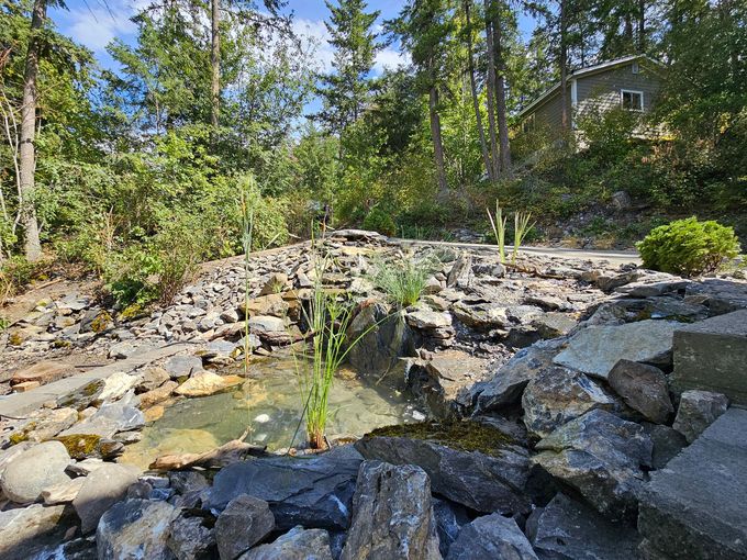 A rocky pond in a natural setting with green plants, trees, and a small building.