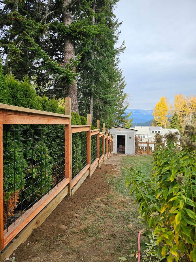 Wooden fence with black metal bars, green foliage, and a small shed in a yard.