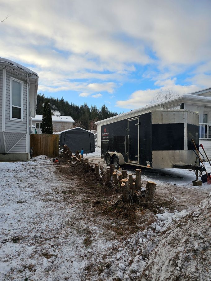 Snowy yard with a trailer, tree stumps, and a blue sky.