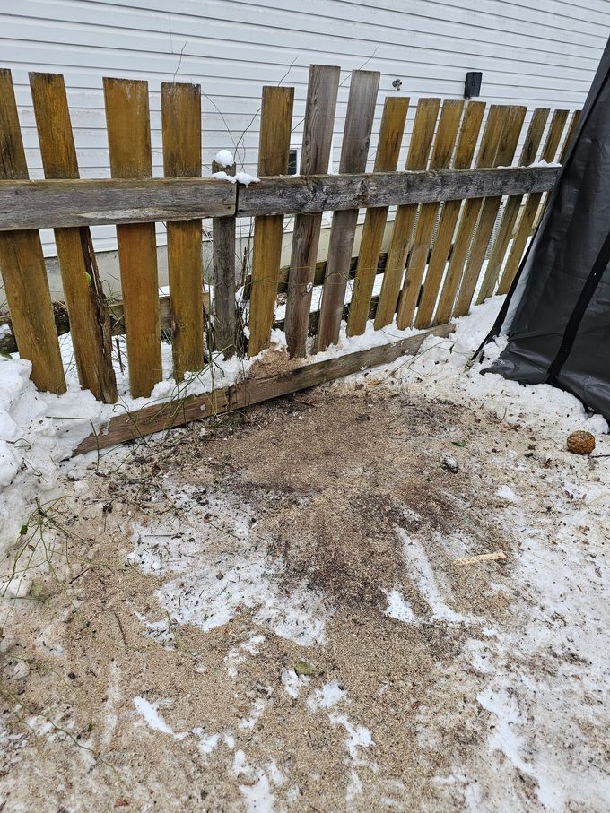Snowy ground near a weathered wooden fence with scattered debris.