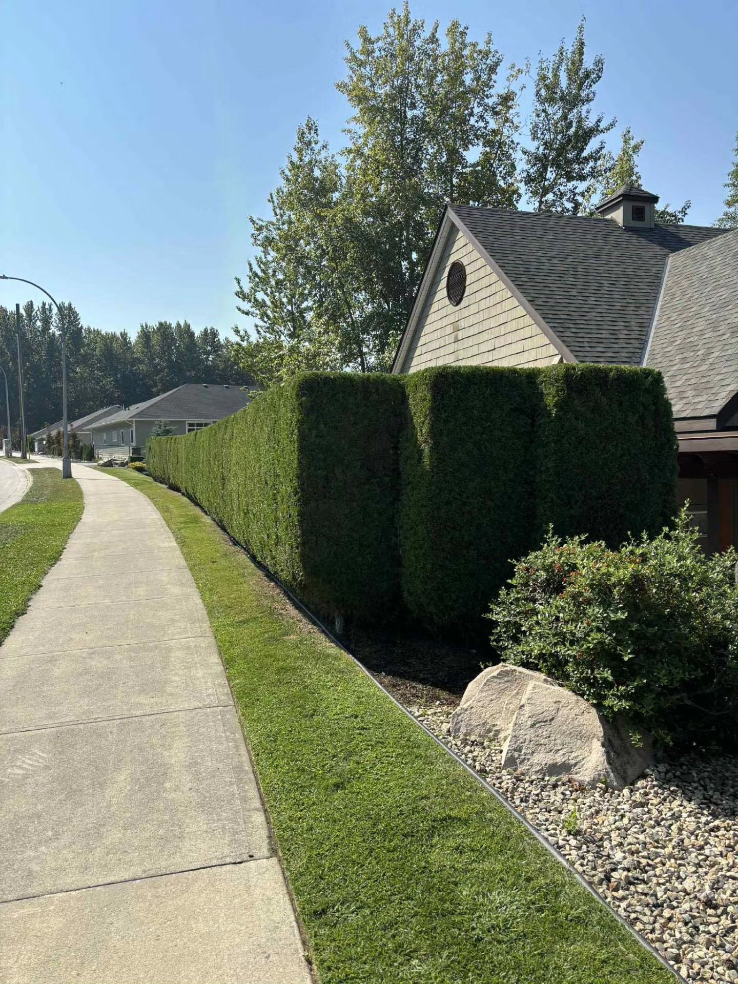 Green hedges line a sidewalk next to a residential street with a house.