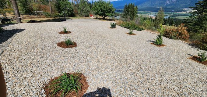 Gravel landscape with small plants and a mountain view in the background.