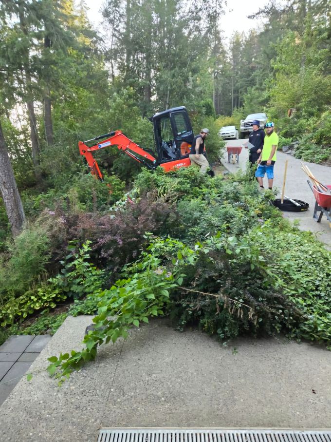 A small excavator and workers clearing overgrown foliage from a hillside near a lake.