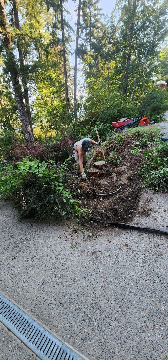 Person gardening next to a gravel pathway, surrounded by trees.