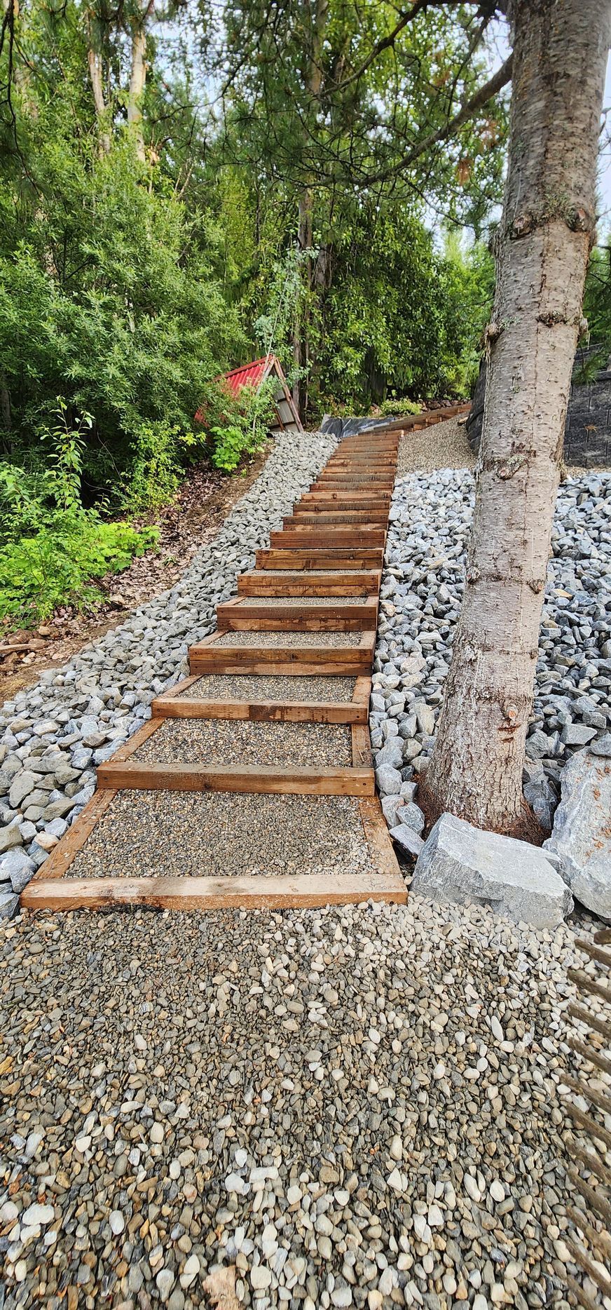Wooden steps with gravel fill lead up a hillside, beside a tree and vegetation.