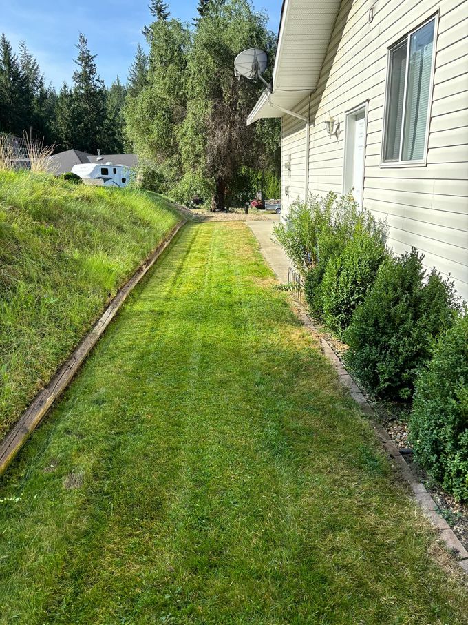 Green lawn next to a house and a raised bed, with a treeline in the background.