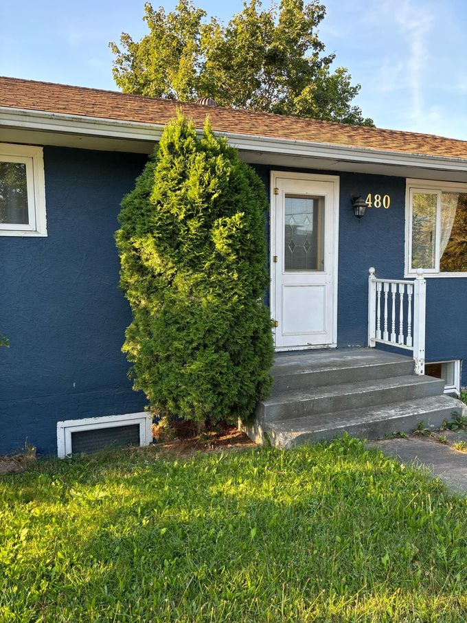 Blue house with white door, small steps, and a tall green bush.