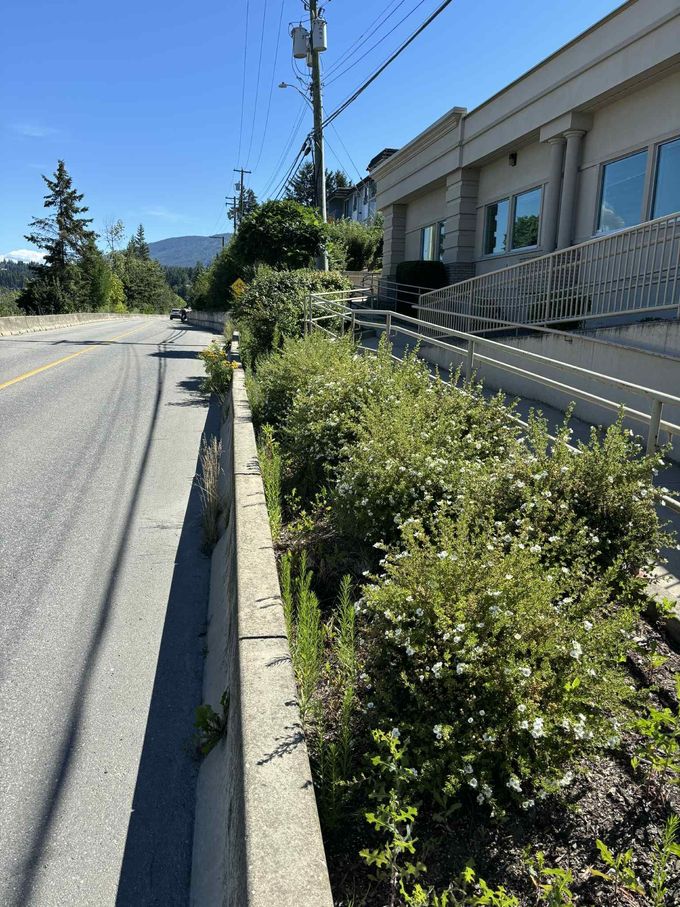 Roadside view with a concrete barrier and bushes. Building with a ramp and blue sky.