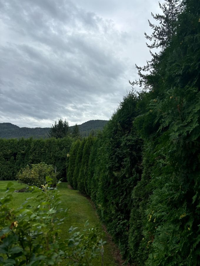 Green hedge bordering a grassy path, leading toward distant hills under a cloudy sky.