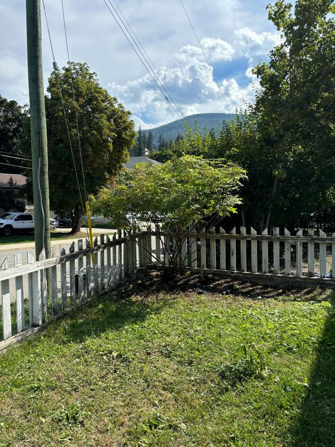 White picket fence surrounds a grassy yard with a small tree and views of a blue sky and distant mountains.