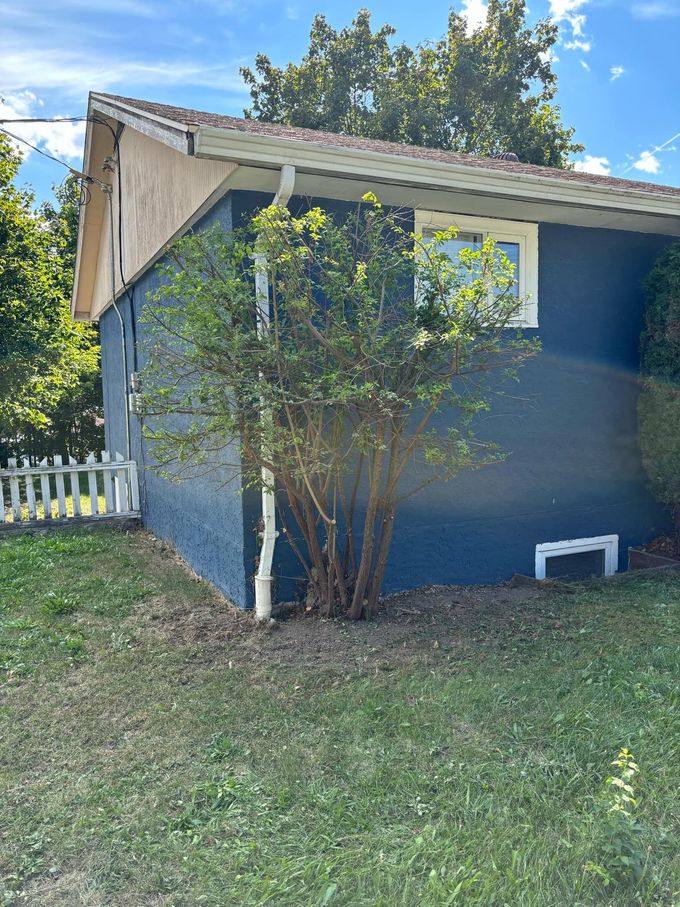 Blue house with a bush in front of a window. White trim, brown roof, and a white fence are also visible.