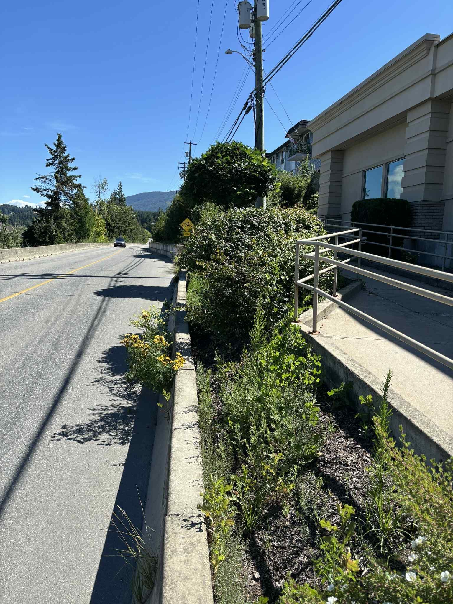 Roadside view with a concrete curb, bushes, and a building with a ramp and handrails. Sunny day.