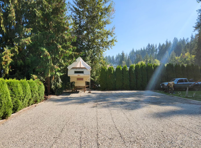RV camper parked on gravel, flanked by green hedges and trees, under a sunny sky.