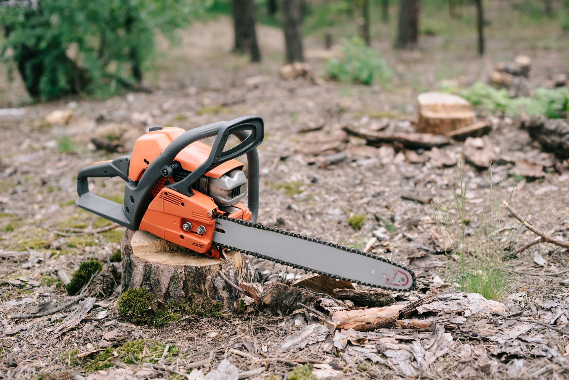 orange chainsaw on tree stump