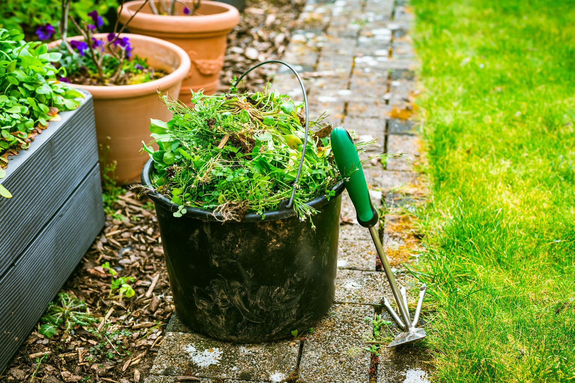 Black bucket overflowing with green weeds next to a garden tool and flower pots on a brick path.