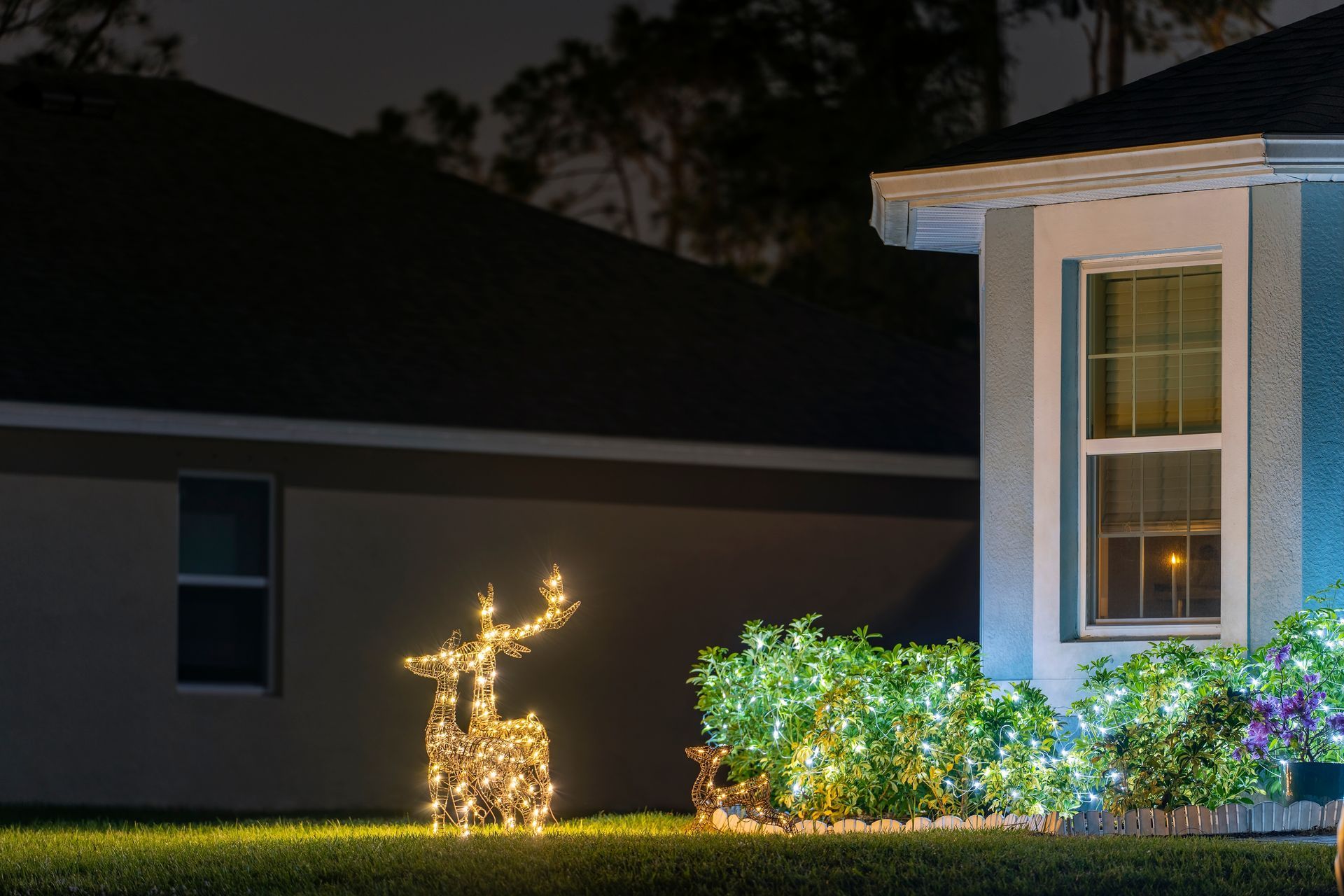 A lit-up reindeer Christmas decoration on a front lawn at night, next to glowing bushes.