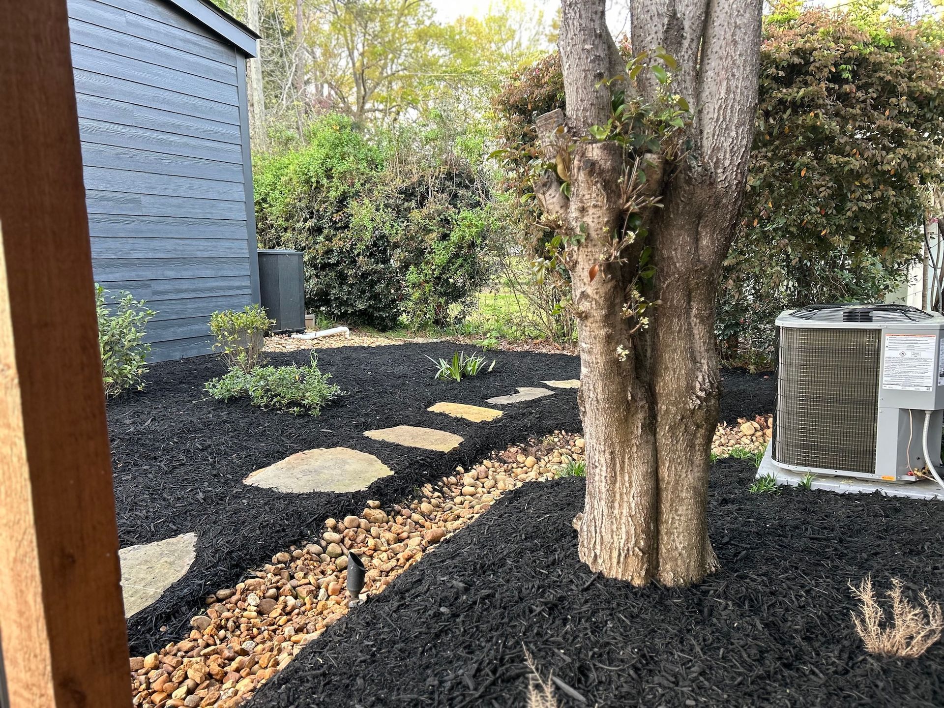 Backyard with black mulch, stepping stones, and a large tree beside a house and fence