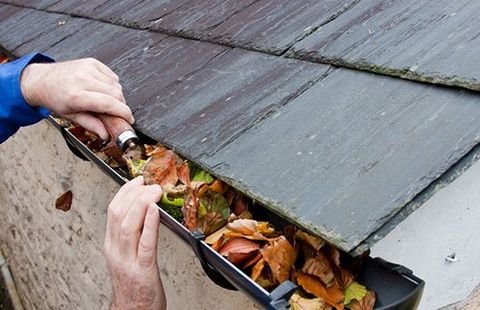 Specialised gutter cleaning services