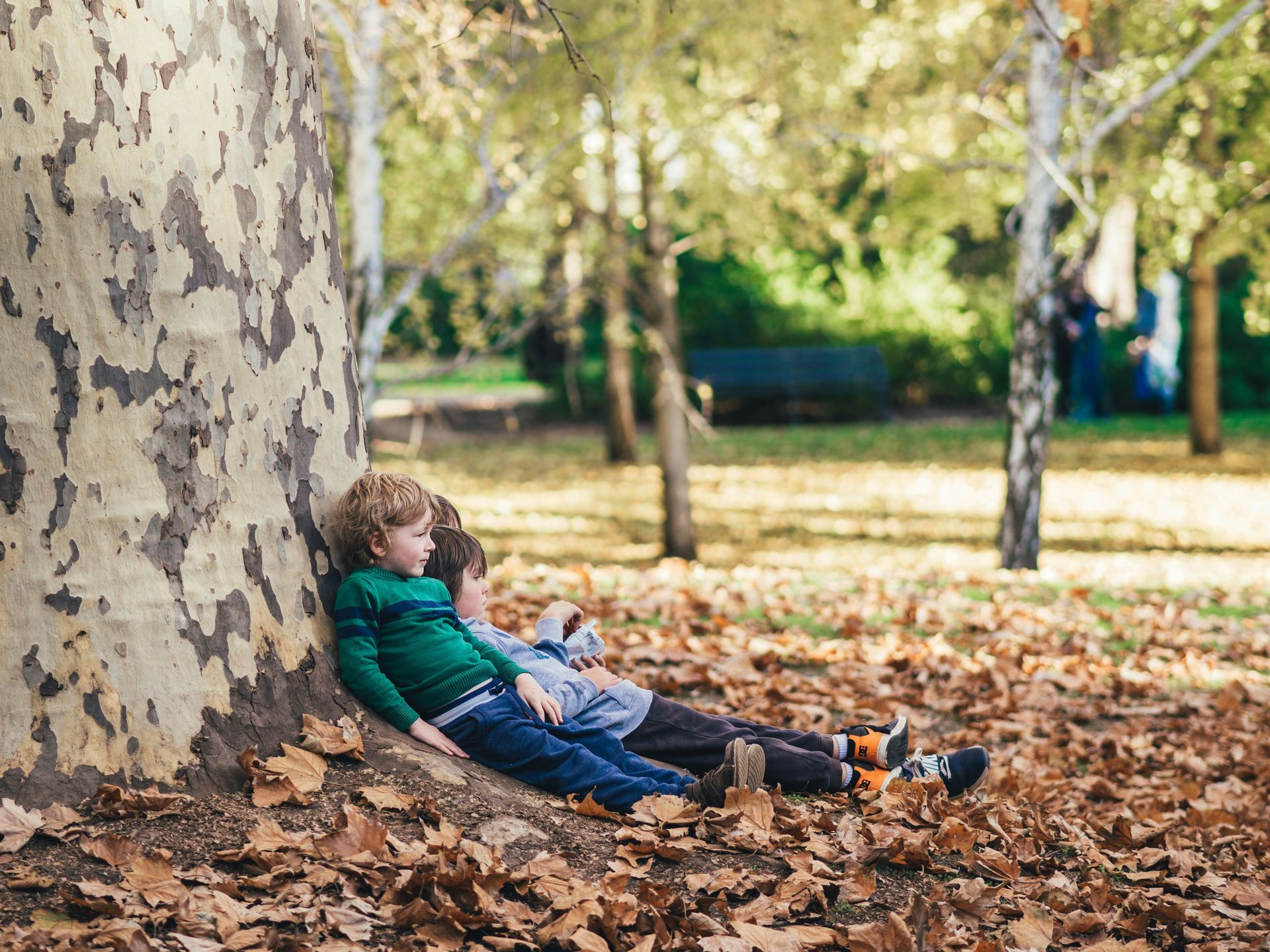 Two young boys are sitting under a tree in a park.