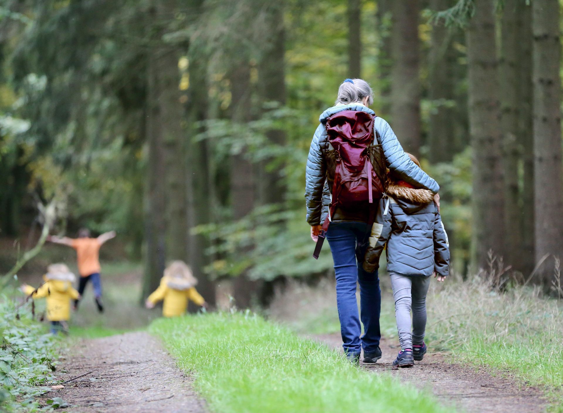 A man and two children are walking down a path in the woods.